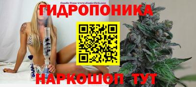 амф Чебоксары