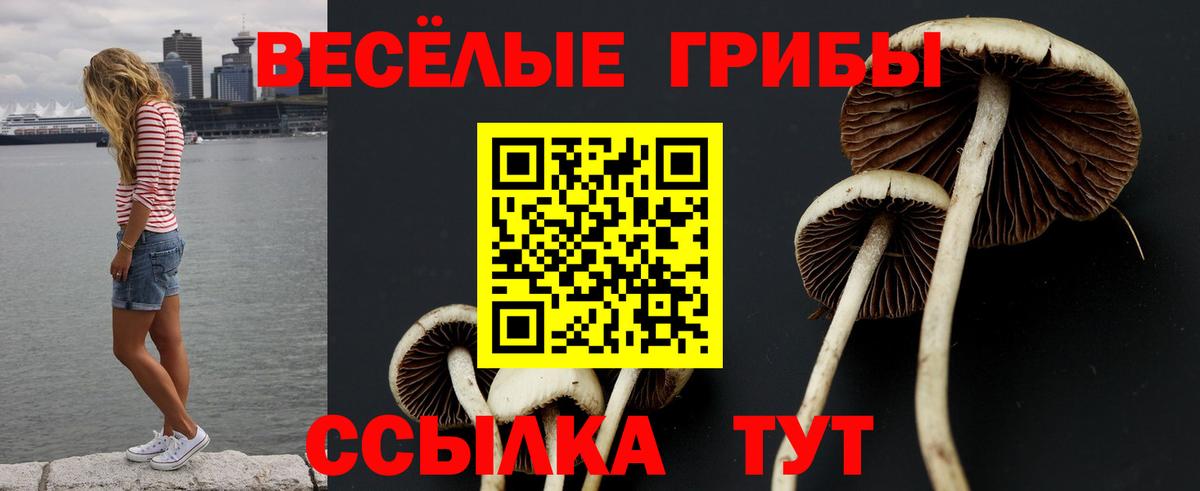 купить   Галлюциногенные грибы Magic Shrooms  Азнакаево  Вход с VPN  Псилоцибиновые грибы прущие грибы 